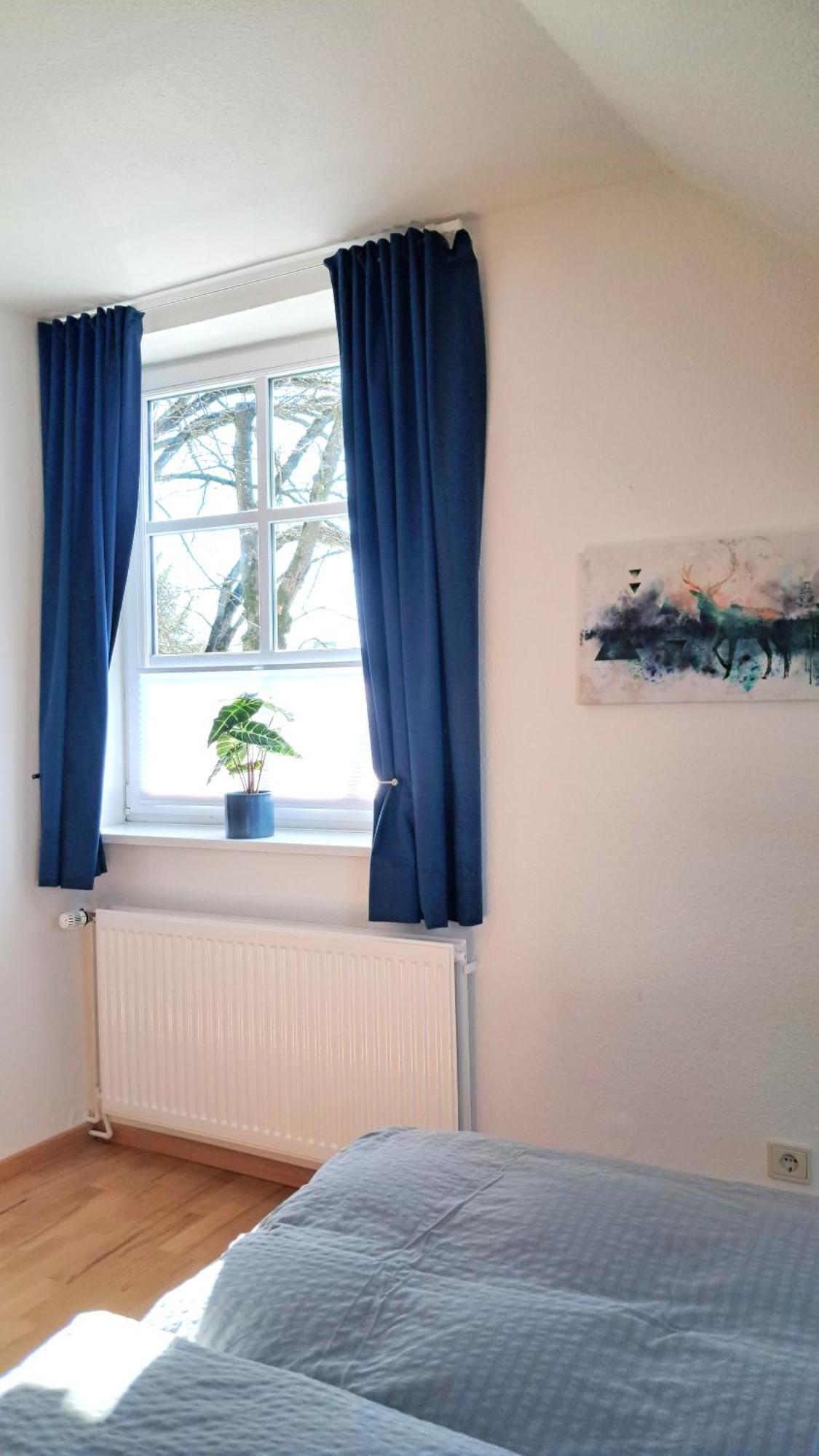 Apartment Brauner Hirsch Целле Экстерьер фото